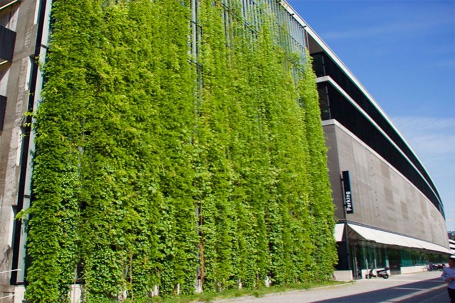 دیوار سبز نمای ساختمان